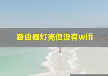 路由器灯亮但没有wifi