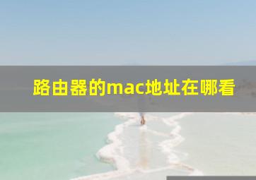 路由器的mac地址在哪看