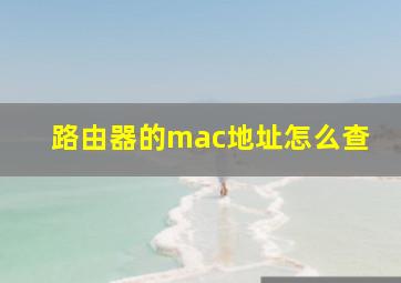 路由器的mac地址怎么查