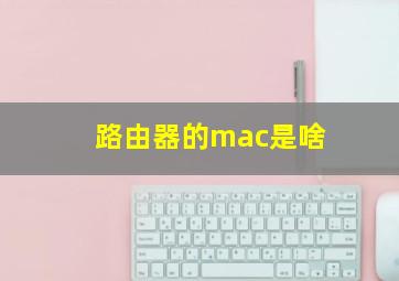 路由器的mac是啥