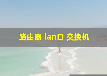 路由器 lan口 交换机