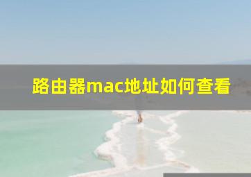 路由器mac地址如何查看