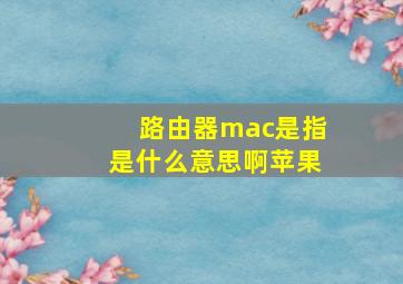 路由器mac是指是什么意思啊苹果