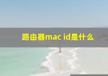 路由器mac id是什么