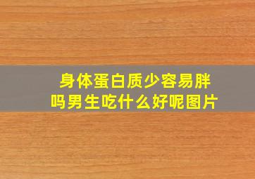 身体蛋白质少容易胖吗男生吃什么好呢图片