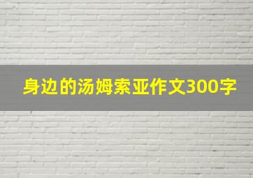 身边的汤姆索亚作文300字