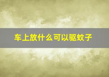 车上放什么可以驱蚊子