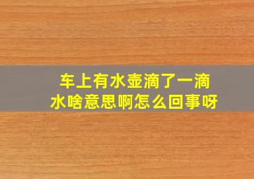 车上有水壶滴了一滴水啥意思啊怎么回事呀