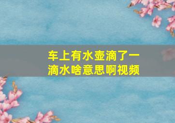 车上有水壶滴了一滴水啥意思啊视频