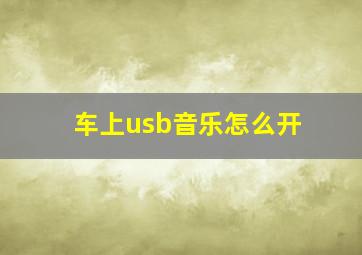 车上usb音乐怎么开