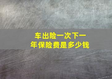 车出险一次下一年保险费是多少钱