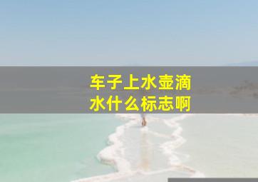 车子上水壶滴水什么标志啊