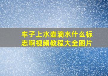 车子上水壶滴水什么标志啊视频教程大全图片