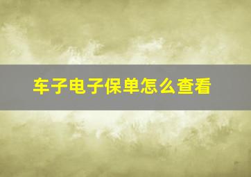 车子电子保单怎么查看