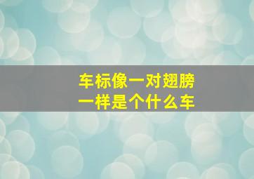 车标像一对翅膀一样是个什么车