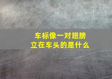 车标像一对翅膀立在车头的是什么