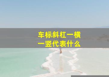 车标斜杠一横一竖代表什么