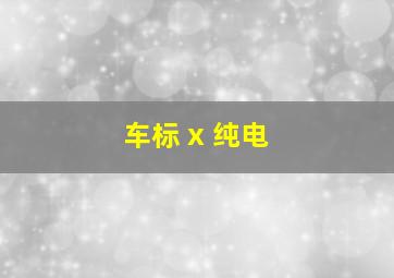 车标 x 纯电