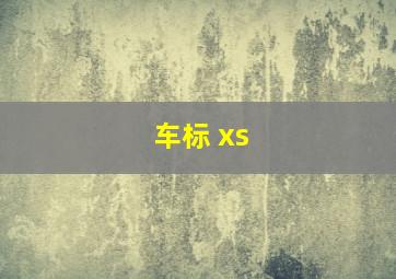 车标 xs