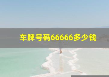 车牌号码66666多少钱