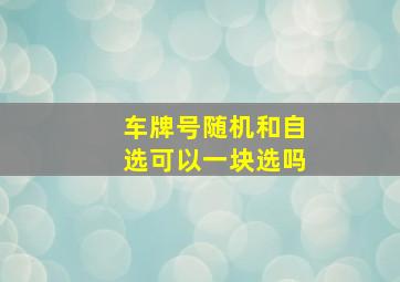 车牌号随机和自选可以一块选吗