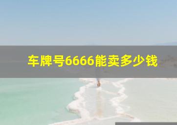 车牌号6666能卖多少钱