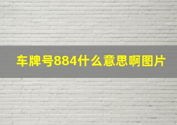 车牌号884什么意思啊图片