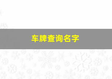 车牌查询名字