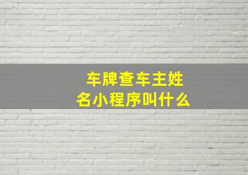 车牌查车主姓名小程序叫什么