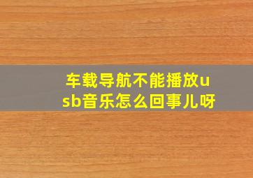 车载导航不能播放usb音乐怎么回事儿呀