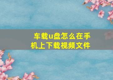 车载u盘怎么在手机上下载视频文件