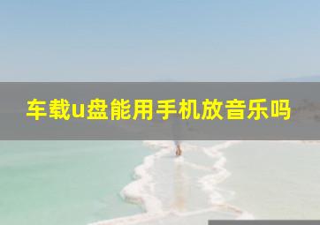 车载u盘能用手机放音乐吗