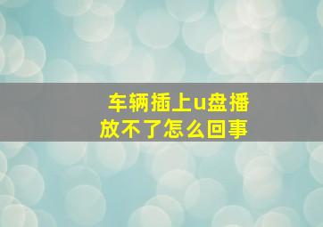 车辆插上u盘播放不了怎么回事