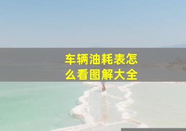 车辆油耗表怎么看图解大全