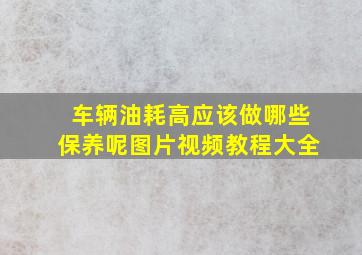 车辆油耗高应该做哪些保养呢图片视频教程大全