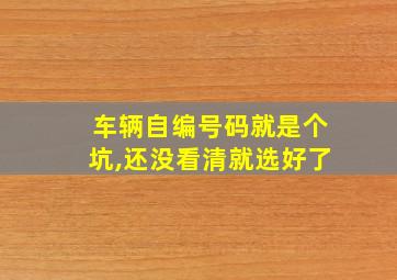 车辆自编号码就是个坑,还没看清就选好了