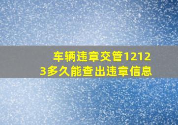 车辆违章交管12123多久能查出违章信息