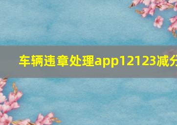 车辆违章处理app12123减分