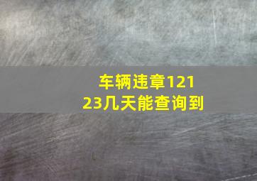 车辆违章12123几天能查询到