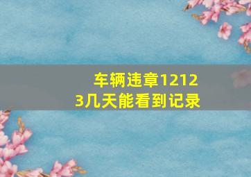 车辆违章12123几天能看到记录