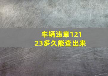 车辆违章12123多久能查出来