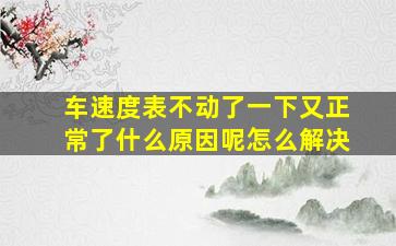 车速度表不动了一下又正常了什么原因呢怎么解决