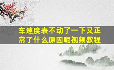 车速度表不动了一下又正常了什么原因呢视频教程