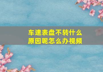 车速表盘不转什么原因呢怎么办视频