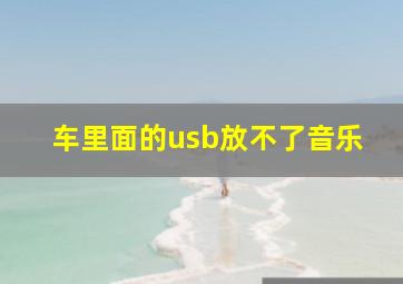 车里面的usb放不了音乐