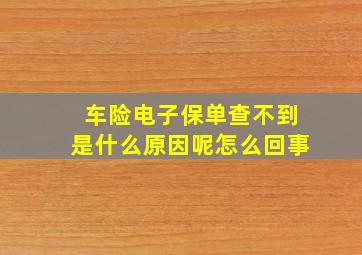 车险电子保单查不到是什么原因呢怎么回事