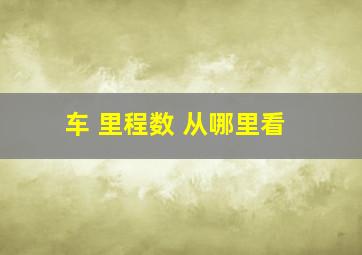 车 里程数 从哪里看