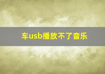 车usb播放不了音乐