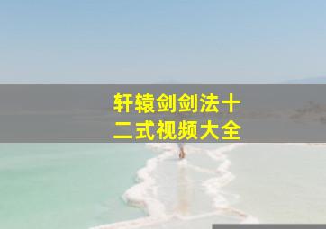 轩辕剑剑法十二式视频大全