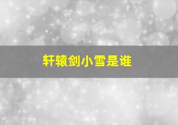 轩辕剑小雪是谁